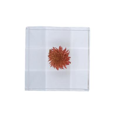 China 2022 China Resin Transparent Cube With Clear Acrylic White Dandelion Plant Immortal Flower For Christmas Birthday Valentine g for sale