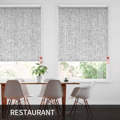 China Modern Electric Motorized Roller Shades Transparent Light Filtering Up And Down Modern Home Decor Space Plain Luxury Gifts for sale