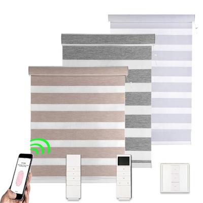 China Day and Night FREE SAMPLE Hot Sale Motorized Electric Motor Smart Fabric Roller Zebra Window Blinds Remote Control Custom Shades for sale