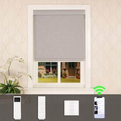 China Minimalist Acrylic Coated Window Blackout Battery Motorized Automatic DIY Smart Motorized Roller Blinds for sale