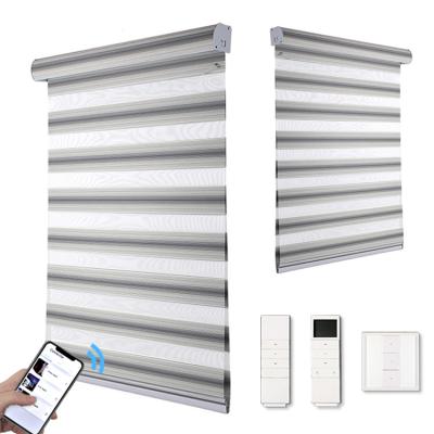 China Day and Night Window Home Decor Smart Shades Double Layers Blinds Electric Blind Windows for sale