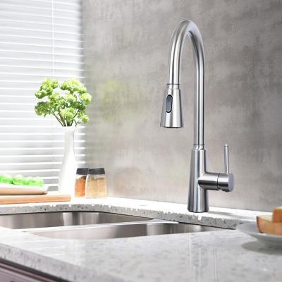 China Spray /Stream Factory Direct Oem Accept Contemporary Stainless Steel Rotation Luxury Modern Kitchen Faucet With Pull Down Sprayer for sale