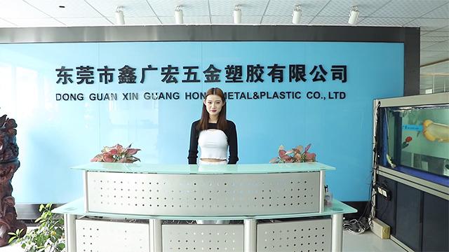 Verified China supplier - Dongguan Xin Guang Hong Metal & Plastic Co., Ltd.