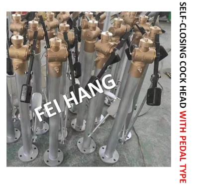 China Fh-Dn65 Marine Sounding Self Closing Valve, Foot Type Sounding Self Closing Valve With Extension Rod DN65 CB / T3778-99 for sale