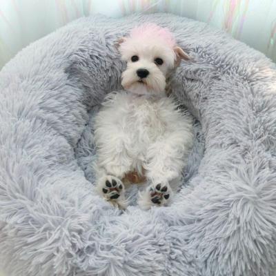 China 2021 Hot Selling High Quality Fluppy Faux Fur Round Pet Bed Viable For Dogs And Cats for sale