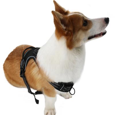 China High Quality Unpadded No Pull Reflective Adjustable Harness With Air Mesh Padding OEM Acceptable for sale