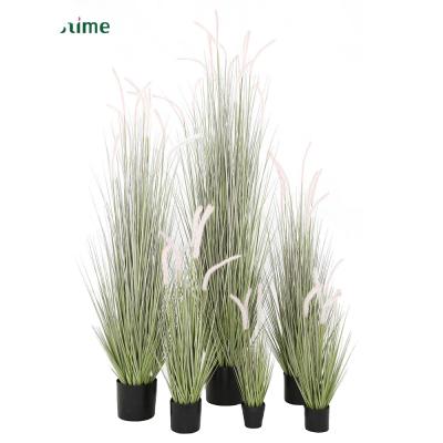 China Popular Home Decoration Natural Touch Artificial Dogtail Grass Plastic Plants With Pot for sale