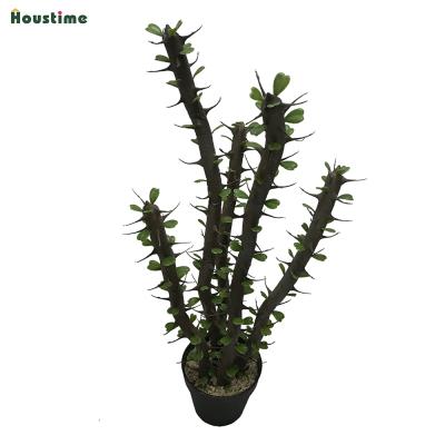 China 2020 New Design Alhagi Artificial Faux Bonsai Trees Home Decor Small Succulent Plants With Plastic Pot For Office And Shelves Home Decor for sale