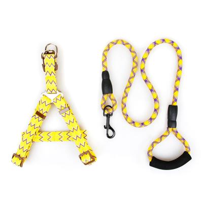 China DETACHED Nylon Dogs Leash Foam Handle Rope Nylon Hands Carabiner Free Retractable Adjustable Dog Leash for sale