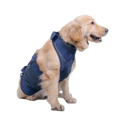 China Adjustable Padded Designer No Pull Dog Harness Custom Set Practical Soft Small Dog Vest Harness With Belt for sale