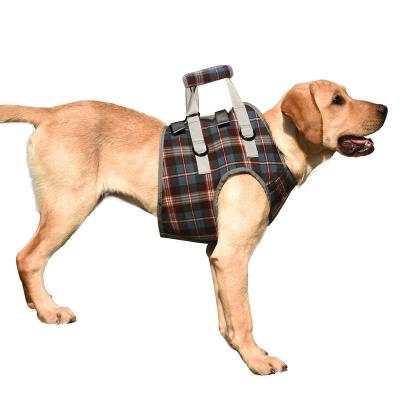 China Adjustable Padded Designer No Easy Pull Dog Harness Walking Dog Harnesses Vest And Leash Set Breathable for sale