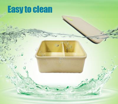 China Biodegradable Biodegradable Rice Husk Leak Proof Lunch Box Eco Friendly Bento Lunch Box for sale