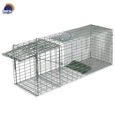 China Portable Easy-to-Hook Stainless Steel Crab Trap Magpie Trap Cage ST-GGB-36 for sale