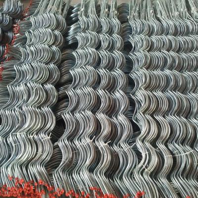 China Tomato or Other Stick Plant Growing Rod Galvanized Spiral Tomato Support Vines 6mm Wire Support for sale