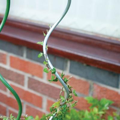 China Tomato Support Or Other Vine Tomato Plant Growing Wire / Spiral Stake For Growing Plants for sale