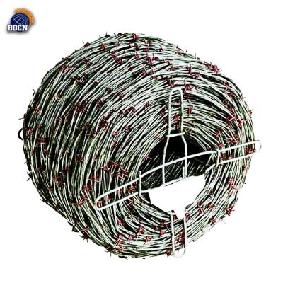 China Iron Barb Wire For Brazil Market Galvanized Wire (Manufacturer) for sale