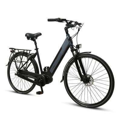 China Aluminum Alloy Fast Speed ​​25km/h Aluminum Frame 36V 250W E Bicycle Electric Bicycle for sale