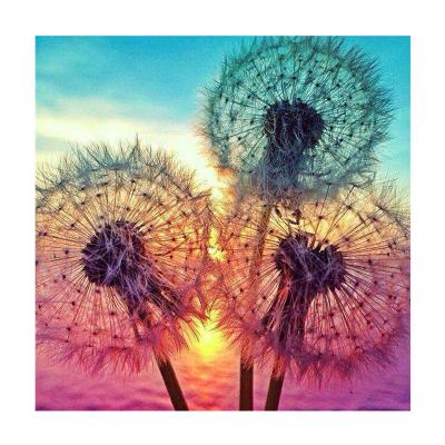 China Easy 5D DIY Diamond Painting Dandelion Landscape Embroidery Cross Stitch Home Decoration for sale