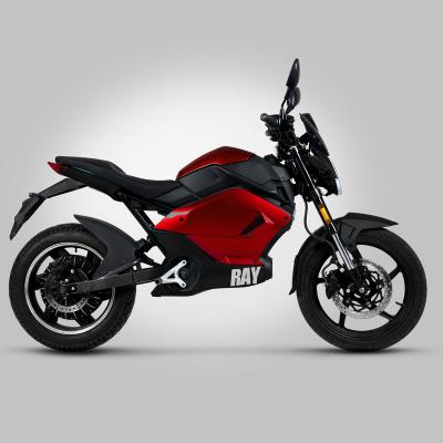 China Electric Racing Motorcycle\1000w Electric Motorcycle\Electric Racing Motorcycle RTM-E21RAY for sale