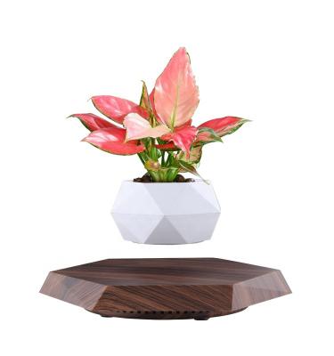 中国 Outdoor Latest Magnetic Levitation Technology Natural Model Rattan Planter and Planters Floating Magnetic Levitation Stash Pots for Plants 販売のため