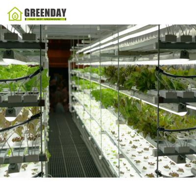 China Vegetable Flowers GREENDAY Greenhouse Fruit Greenhouse Container Hydroponics System Vertical Shipping Agricultural Growing Container Agriculture for sale