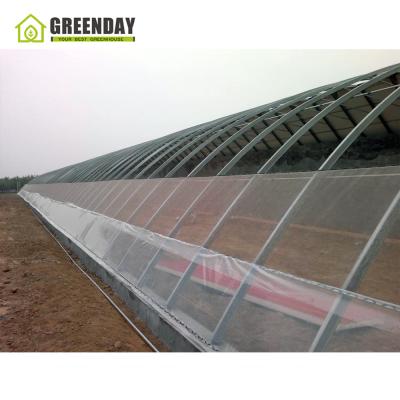 China Stable Structure GREENDAY Low Cost Chinese Commercial Passive Solar Greenhouse Other Greenhouses for sale