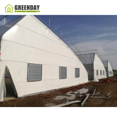 China Stable Structure GREENDAY Passive Solar Greenhouse Low Cost Passive In-Solar Greenhouses for sale