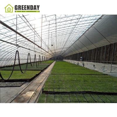 China Good quality stable structure GREENDAY PV Cell Solar Greenhouse Systems Hot Selling Chinese Greenhouse Passive Solar for sale