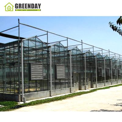 China GREENDAY Stable Structure Multi-span Cheap Glass Greenhouse Agriculture Hydroponic Greenhouse Year Round On Sale for sale