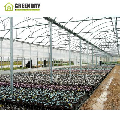 China Stable Structure GREENDAY China Factory Low Cost Plastic Sheet Greenhouse Easy Installed Hydroponic Greenhouse For Tomato for sale