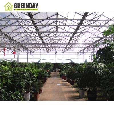 China Stable Structure GREENDAY Agriculture Multi-span Glass Greenhouse Hydroponic Greenhouse Gewchshaus for sale