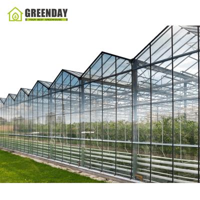 China Stable Structure GREENDAY Commercial Greenhouse Manufacturer Glass Greenhouse for sale