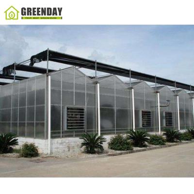 China Stable Structure GREENDAY Turnkey Projects Controlled Polycarbonate Seed Multi Span Greenhouse Vegetable Greenhouse for sale