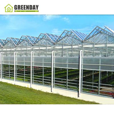 China Stable Cheap Agricultural Glass Grenhouses Multi-span Vegetables Multi-span Glass Invernadero Structure GREENDAY Greenhouse for sale