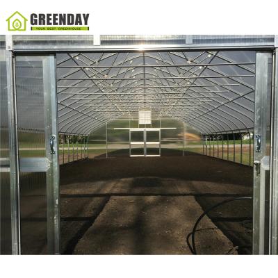 China Stable Structure GREENDAY Agricultural Greenhouse 30x100 Polytunnel Single Tunnel Greenhouse Mushroom for sale