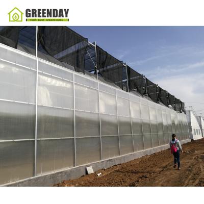 China Stable Structure GREENDAY Cheapest Tomato Hydroponic Greenhouse Multi Span Film Greenhouse Structure for sale