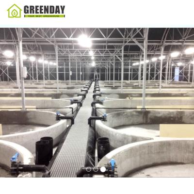 China Stable Structure GREENDAY Green House Cheapest Multispan Film Agricultural Greenhouse Structure for sale