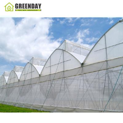 China Thin Layer Stable Structure Vegetable Greenhouse Greenhouse Greenhouses Continuous Greenhouses Skeleton for sale