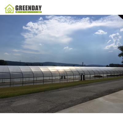 China Stable Structure GREENDAY Multi-span Film Greenhouse With Mesh Netting For Greenhouse for sale