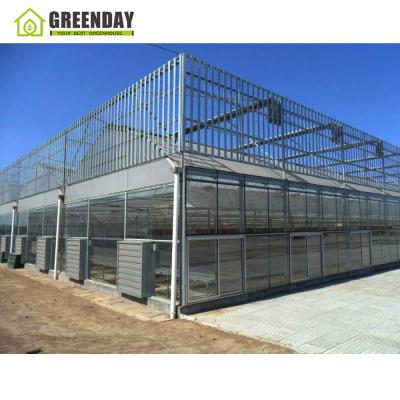 China Stable Structure GREENDAY Low Cost Multi-Span Greenhouse Agricultural Garden Greenhouse Glass Greenhouse For Flowers for sale