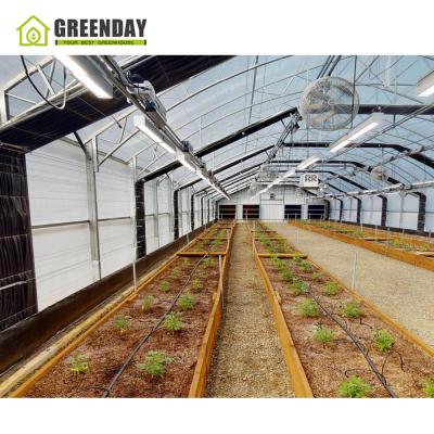 China Stable Structure GREENDAY Automatic Greenhouse Blackout Light Deprivation Agricultural Greenhouse for sale