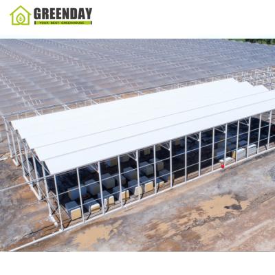 China Best quality stable structure GREENDAY agricultural aeroponic glass greenhouse for flowers for sale