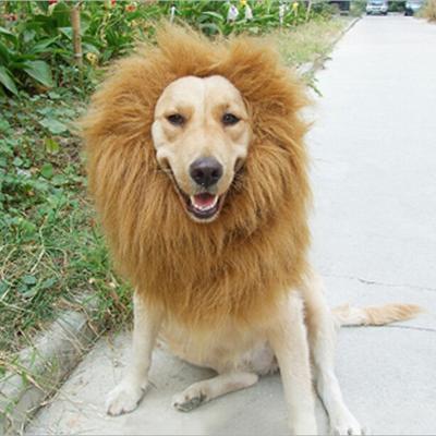 China Viable Cute Pet Cosplay Clothes Transfiguration Costume Lion Mane Winter Warm Wig Cat Large Dog Party Decoration With Ear Pet Clothing for sale