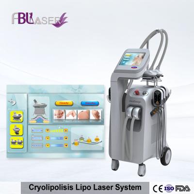 China Máquina Cryotherapy del laser Cryolipolysis de Zerona 10,4 pulgadas para adelgazar del cuerpo en venta