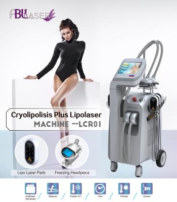 中国 /Freezingの脂肪吸引術機械を細くするCryolipolysis Lipoレーザー 販売のため