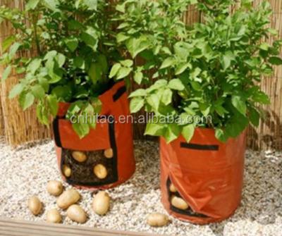 China Waterproof Reusable Patio Around Plastic Potato Planting Bag, Potato Growing Bag For Planter for sale