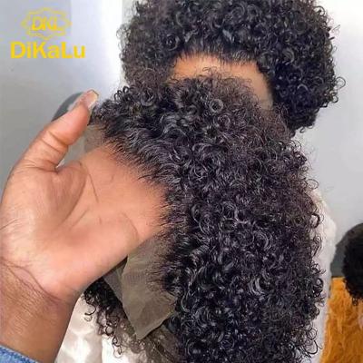 China Sheer Lace Front Wigs, Pixie-Lulu Wave Lace Front Wig For Black Women-DiKaLu Silky Straight Curl,Brazilian Hair Wig Hair Wigs Lace Front for sale