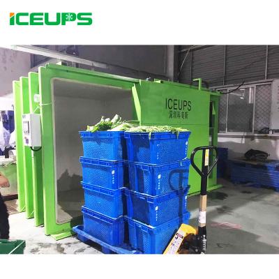 China The fastest cooling for good ICEUPS vegetables vacuum chilling machine using the world famous brand parts for sale