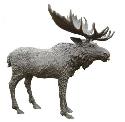 China Europe Customized Best Large Statue Bronze Moose For Sale With High Quality for sale