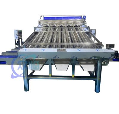 China 4900W SUS304 garnalen sorteermachine, Duurzame garnalen wasmachine Te koop